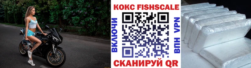 купить закладку  Шилка  COCAIN VHQ 