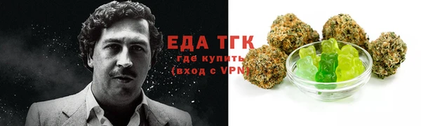 тгк Абаза