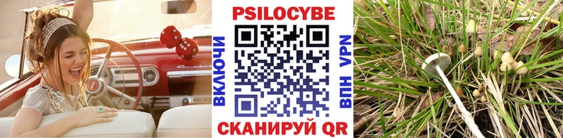 МЕГА рабочий сайт  Шилка  Псилоцибиновые грибы GOLDEN TEACHER  купить  сайты 
