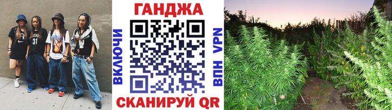 Канабис гибрид  купить наркотики сайты  Шилка 